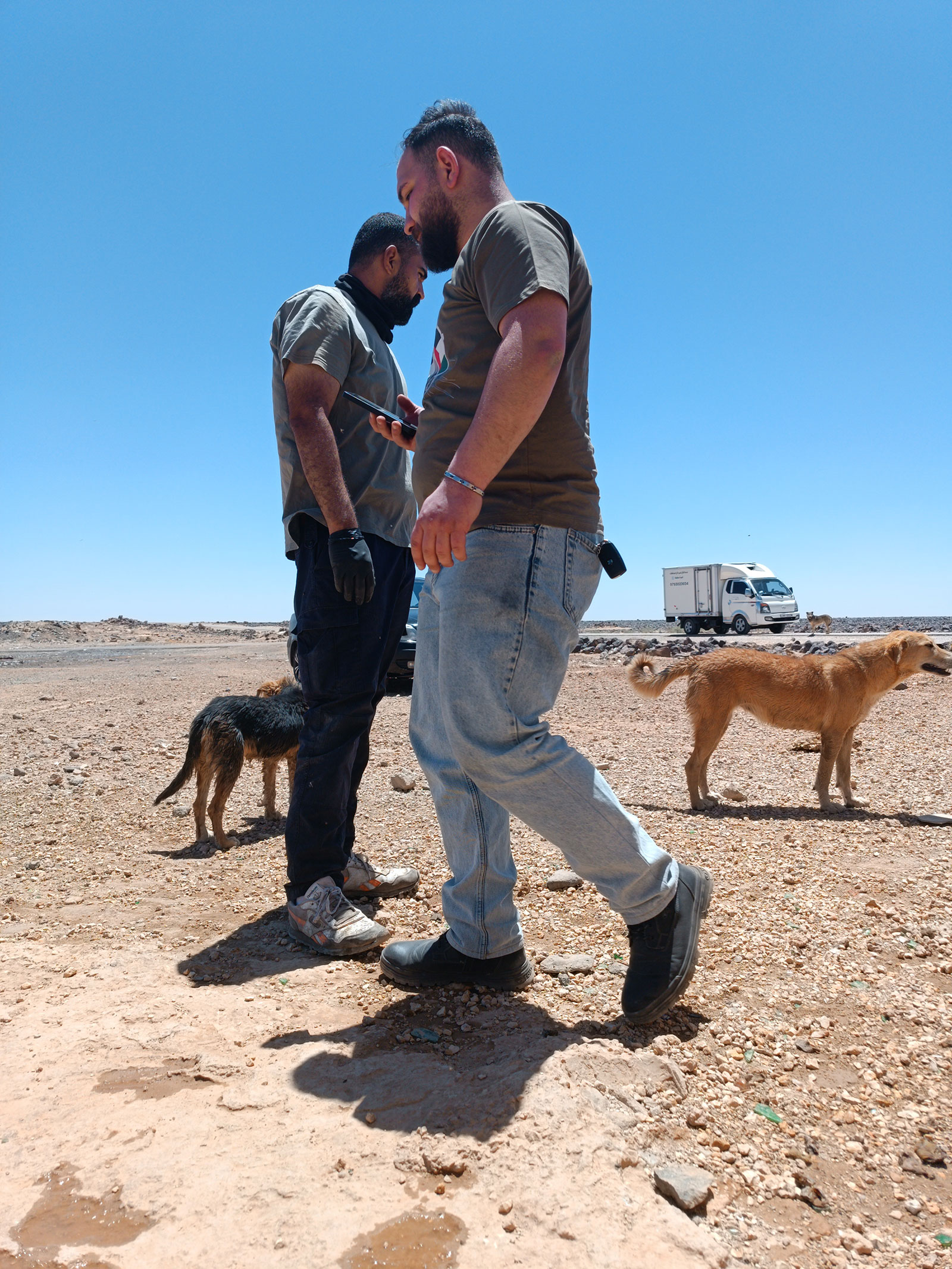 Jordan-Dogs-of-the-desert20