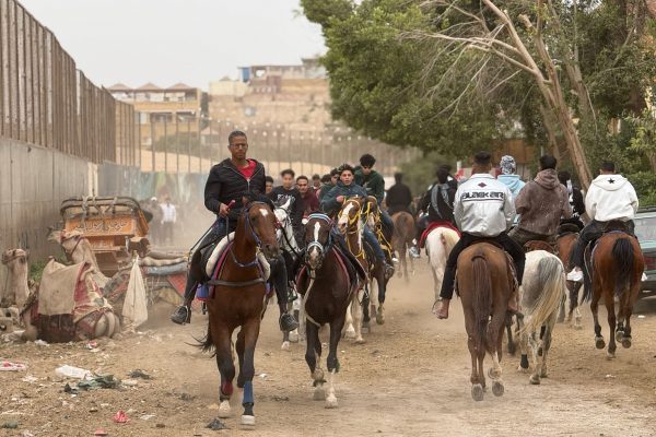 ANIMALI SENZA CONFINI: L’ALBANIA E OLTRE
