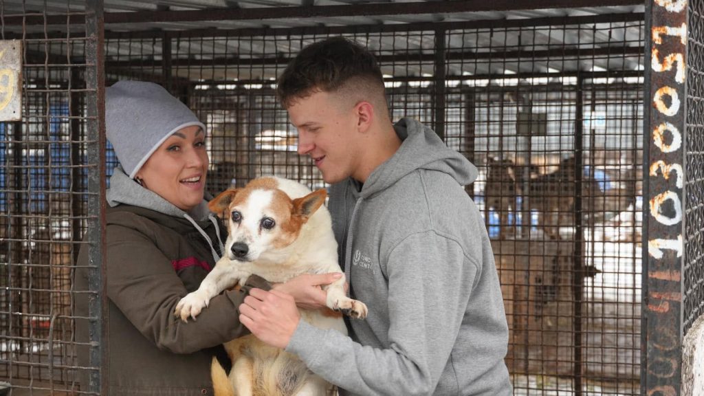 Migliaia di animali in Ucraina sono stati salvati grazie a voi